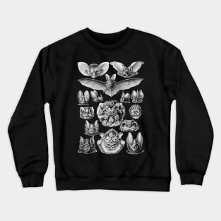 Ernst Haeckel Chiroptera Vampire Bats Scientific Illustration Crewneck Sweatshirt